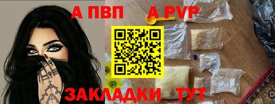 a pvp Кингисепп