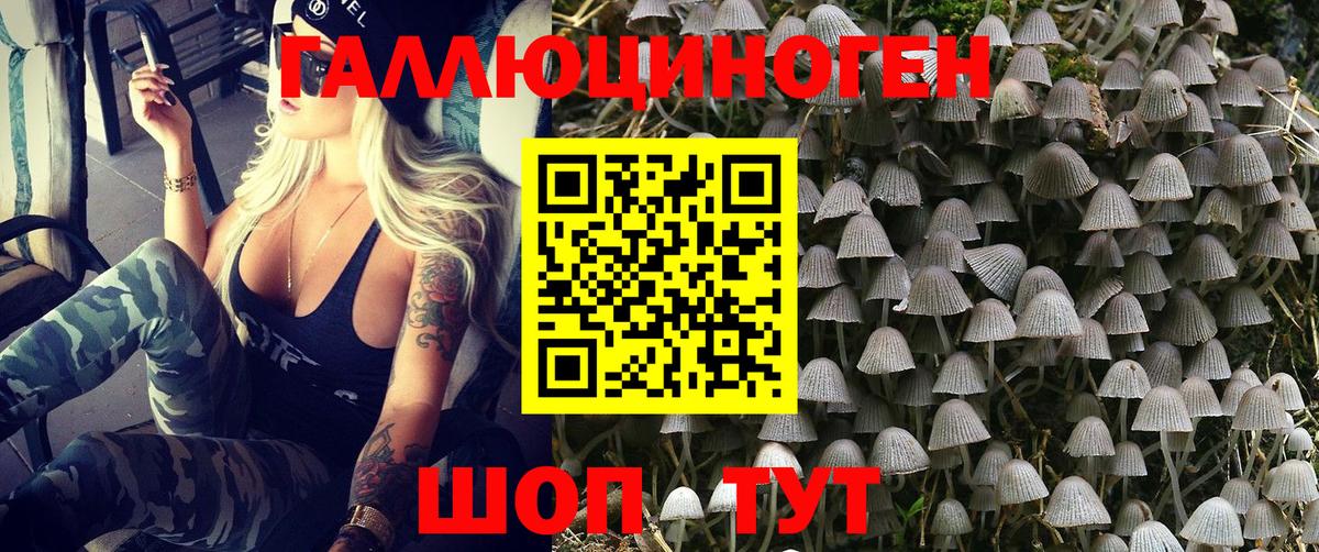 Псилоцибиновые грибы мицелий Лабинск